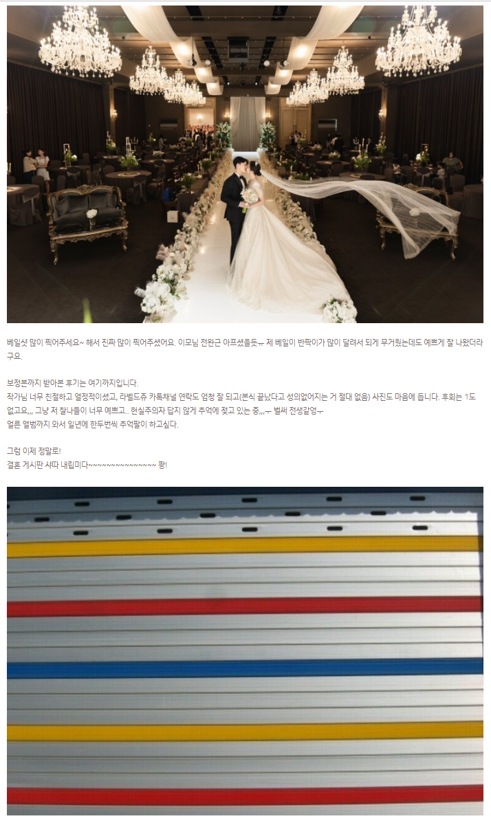 베일 샷